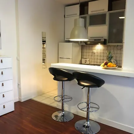 Big Obilicev Venac Apartment Belgrade