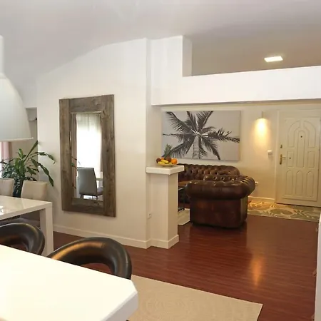 Apartment Big Obilicev Venac