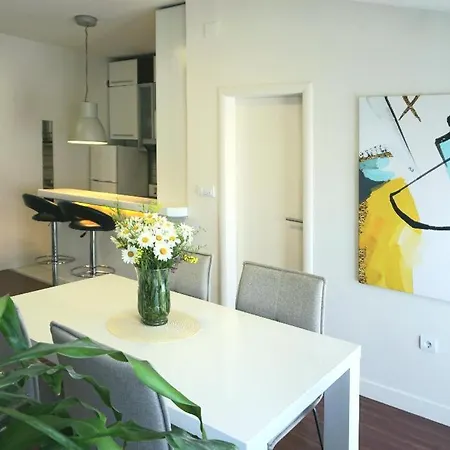 Apartment Big Obilicev Venac *